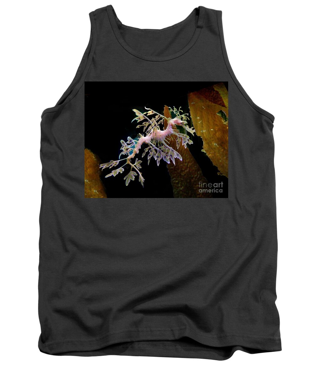 Denise Bruchman Tank Top featuring the photograph Leafy Sea Dragon by Denise Bruchman