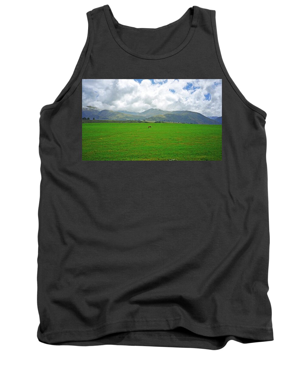Canterbury Tank Top featuring the photograph Leg Room by Kevin Smith