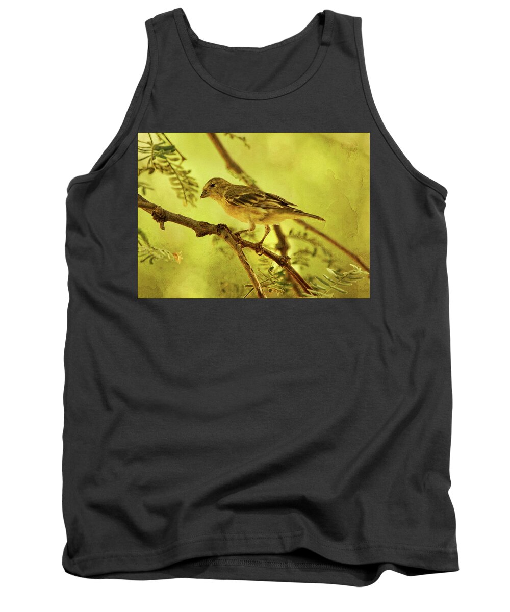 Lesser Goldfinch Tank Top featuring the photograph Lesser Goldfinch on Acacia Limb txt by Theo O'Connor
