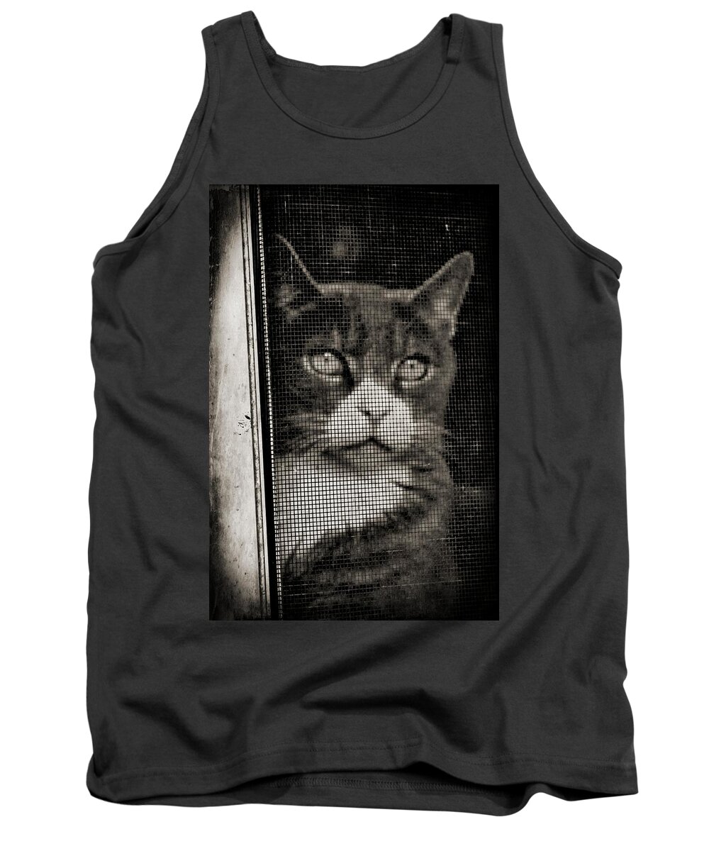 Feline Tank Top featuring the photograph Let Me Out by Wendy Gertz