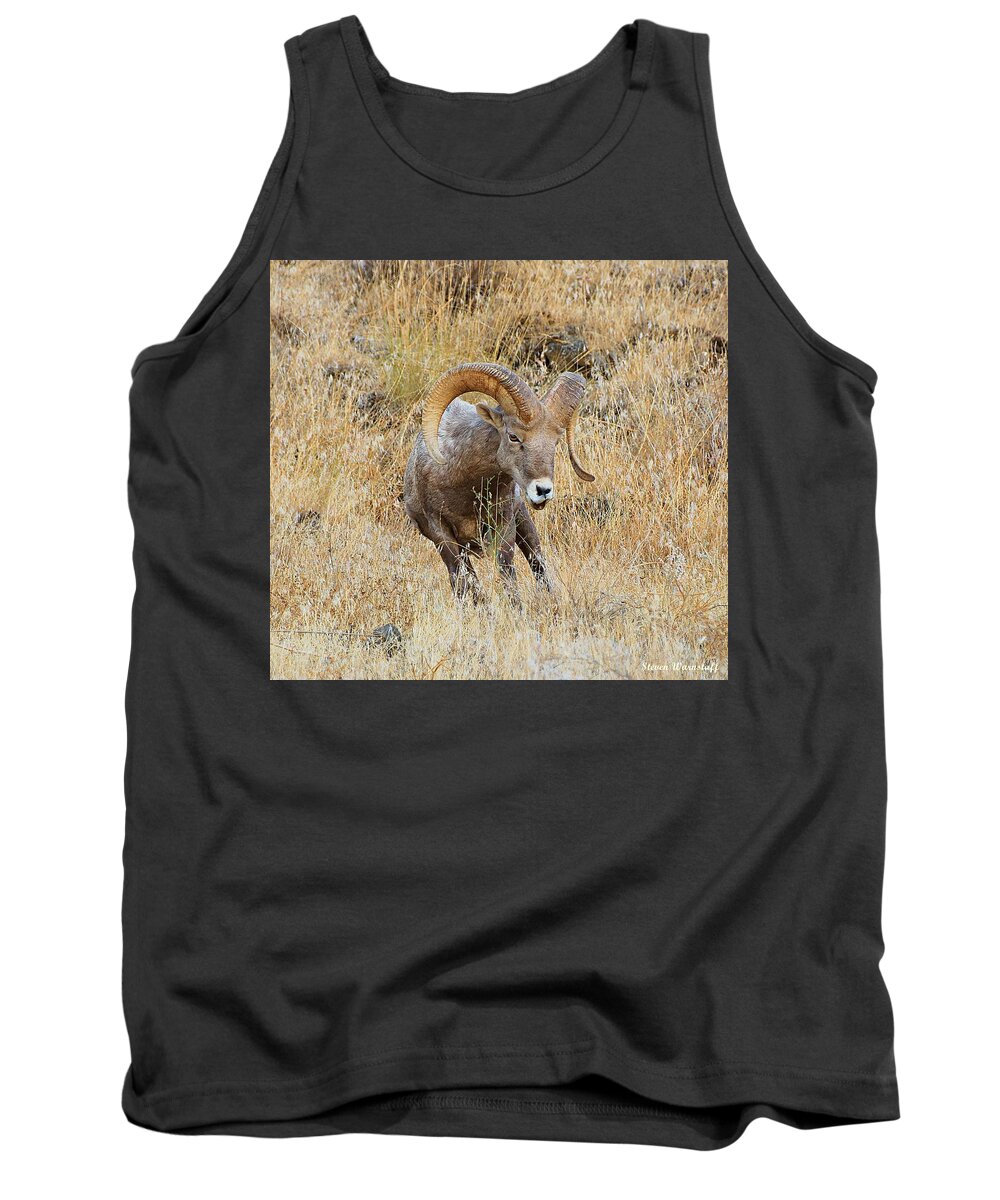 Oregon Tank Top featuring the photograph Let's Go III by Steve Warnstaff