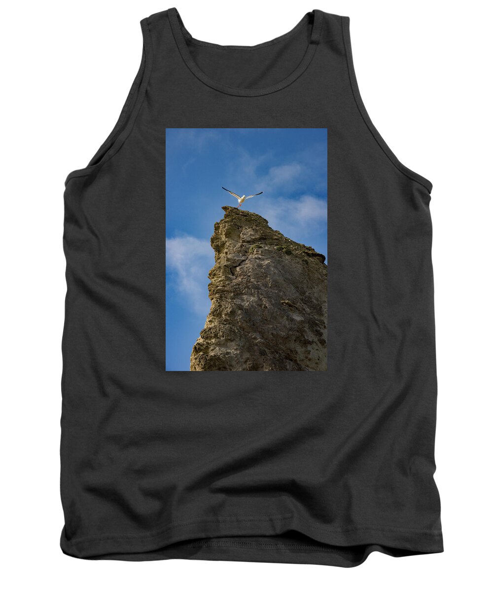Seagull Tank Top featuring the photograph Liftoff by Darren White