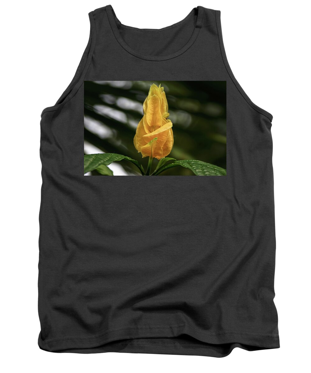 Candle Plant Tank Top featuring the photograph Like a Prayer - by Julie Weber