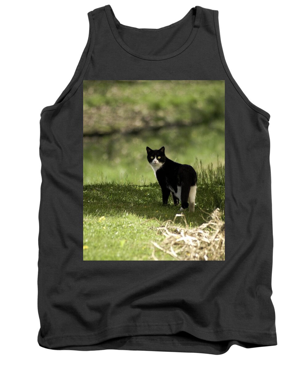 Cat Tank Top featuring the photograph Lilly by Trish Tritz