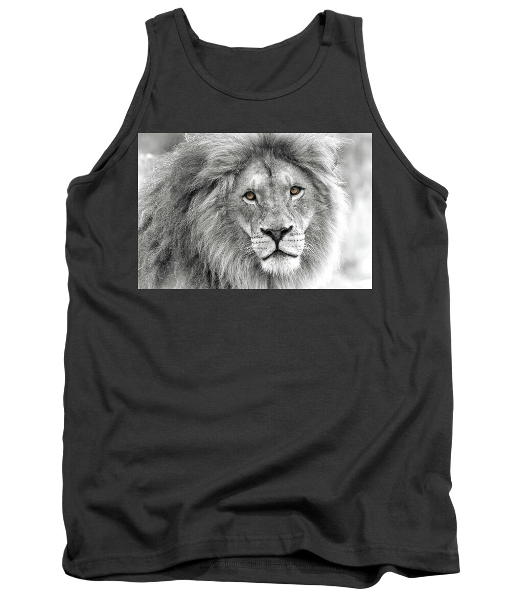 Lion Tank Top featuring the photograph Lion King by Celine Pollard