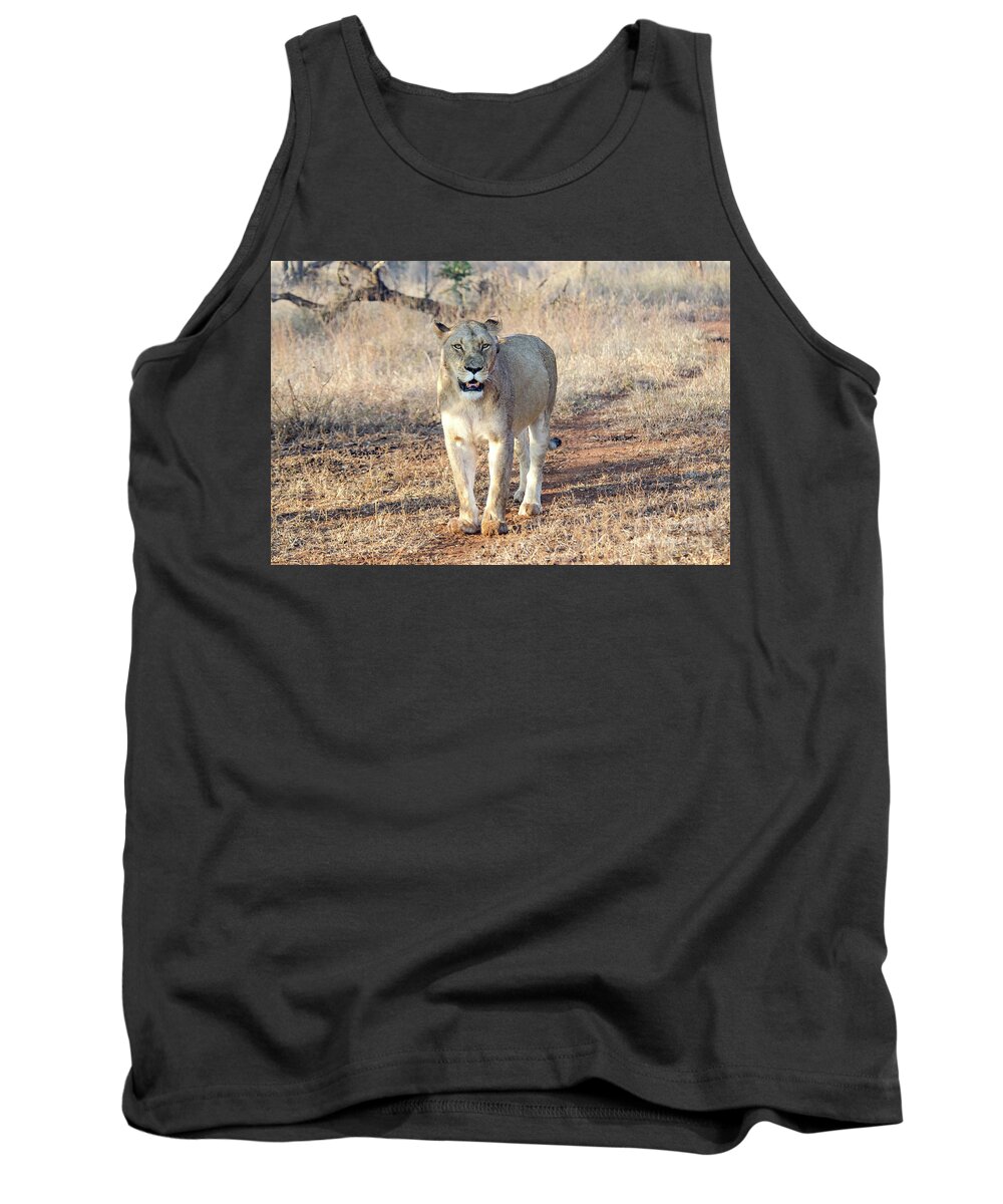 Lion Tank Top featuring the photograph Lioness in Kruger by Pravine Chester