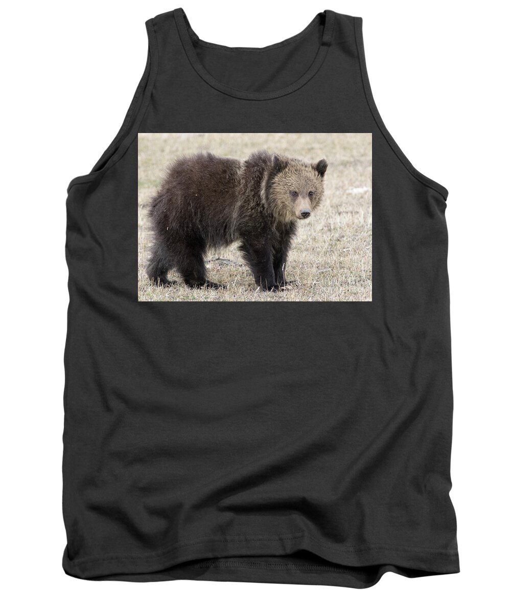 Grizzly Cub Tank Top featuring the photograph Little America Cub by Deby Dixon