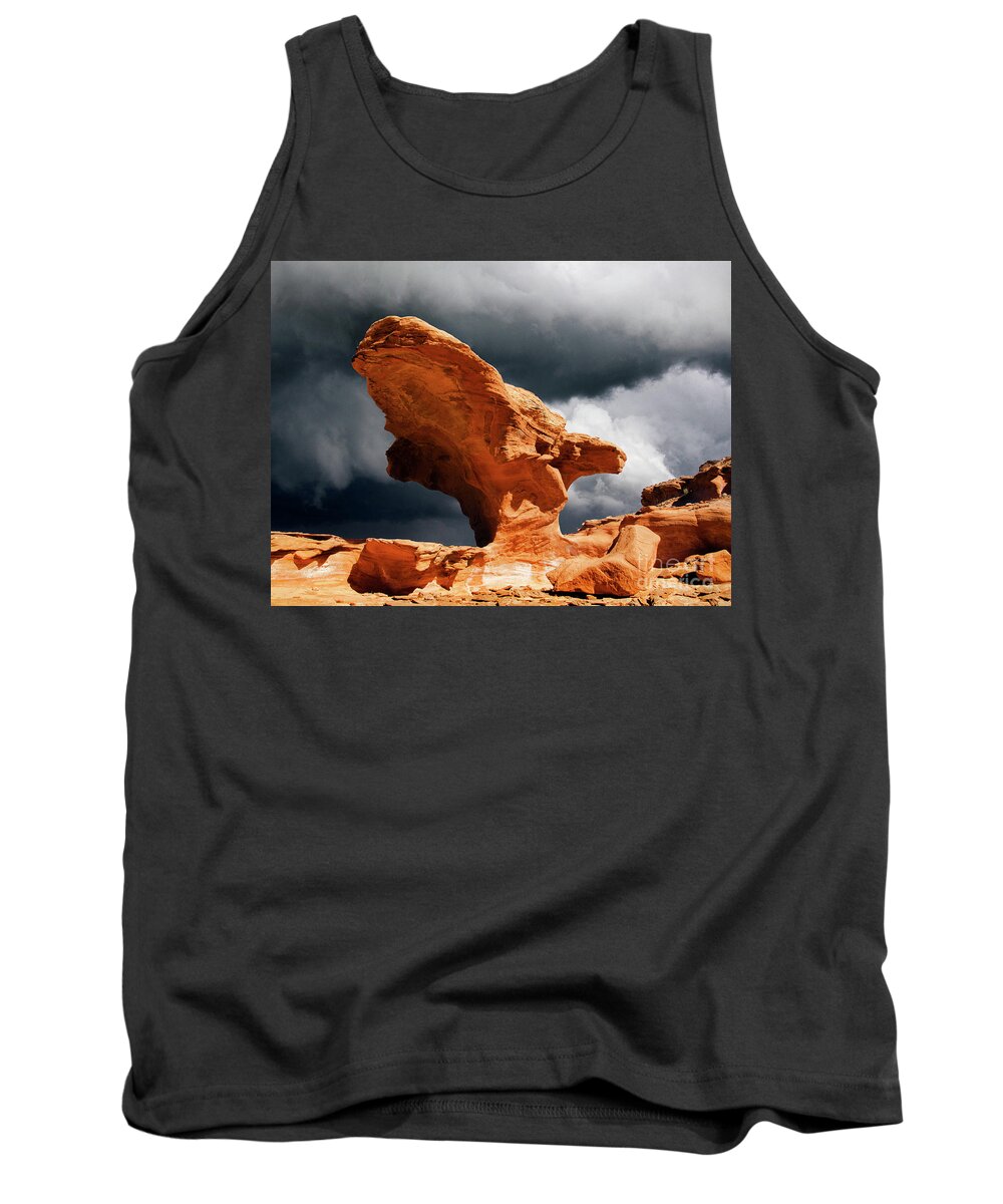 Hoodoo Tank Top featuring the photograph Little Finland Nevada 8 by Bob Christopher