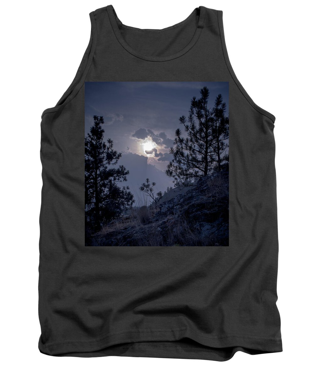 Rattlesnake Mt Tank Top featuring the photograph Little Pine by Troy Stapek