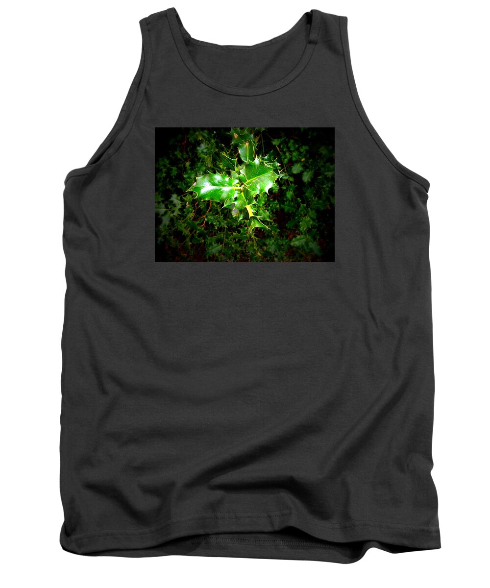 Plant Tank Top featuring the photograph Little plant by Lukasz Ryszka