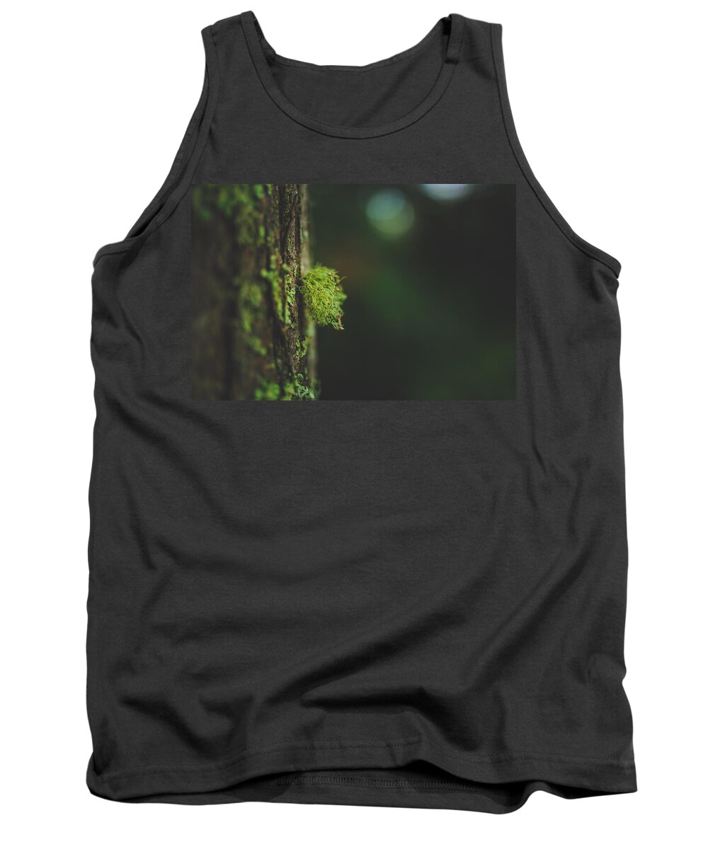 Tree Tank Top featuring the photograph Little Something On Your Trunk by Shane Holsclaw