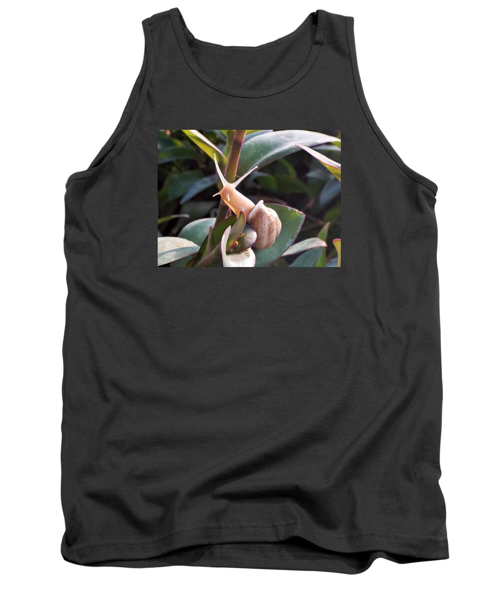 Snail Tank Top featuring the photograph little Victory by Michael Dillon
