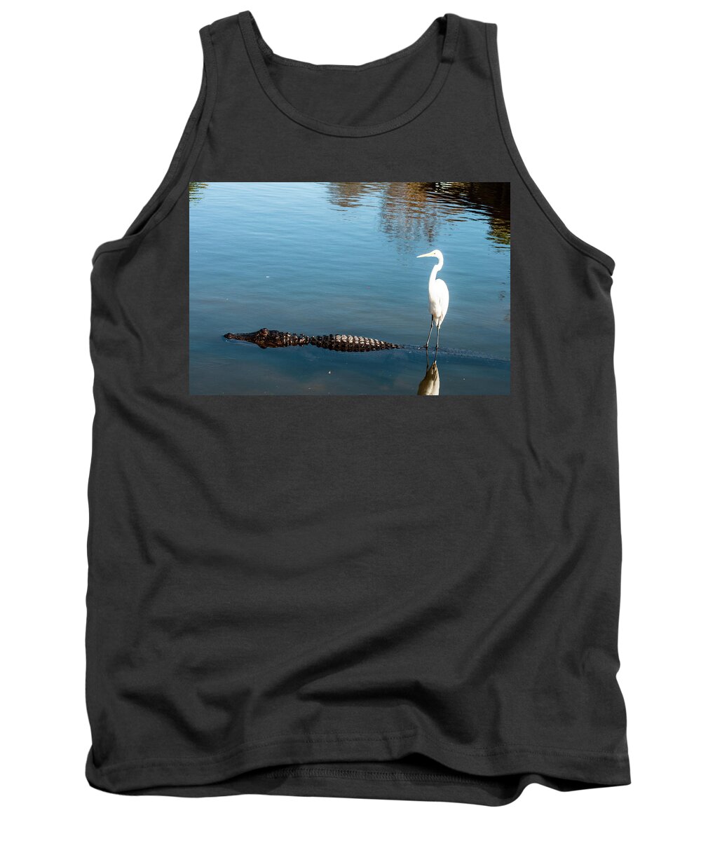 Great White Egret Tank Top featuring the photograph Living dangerously by Norman Johnson