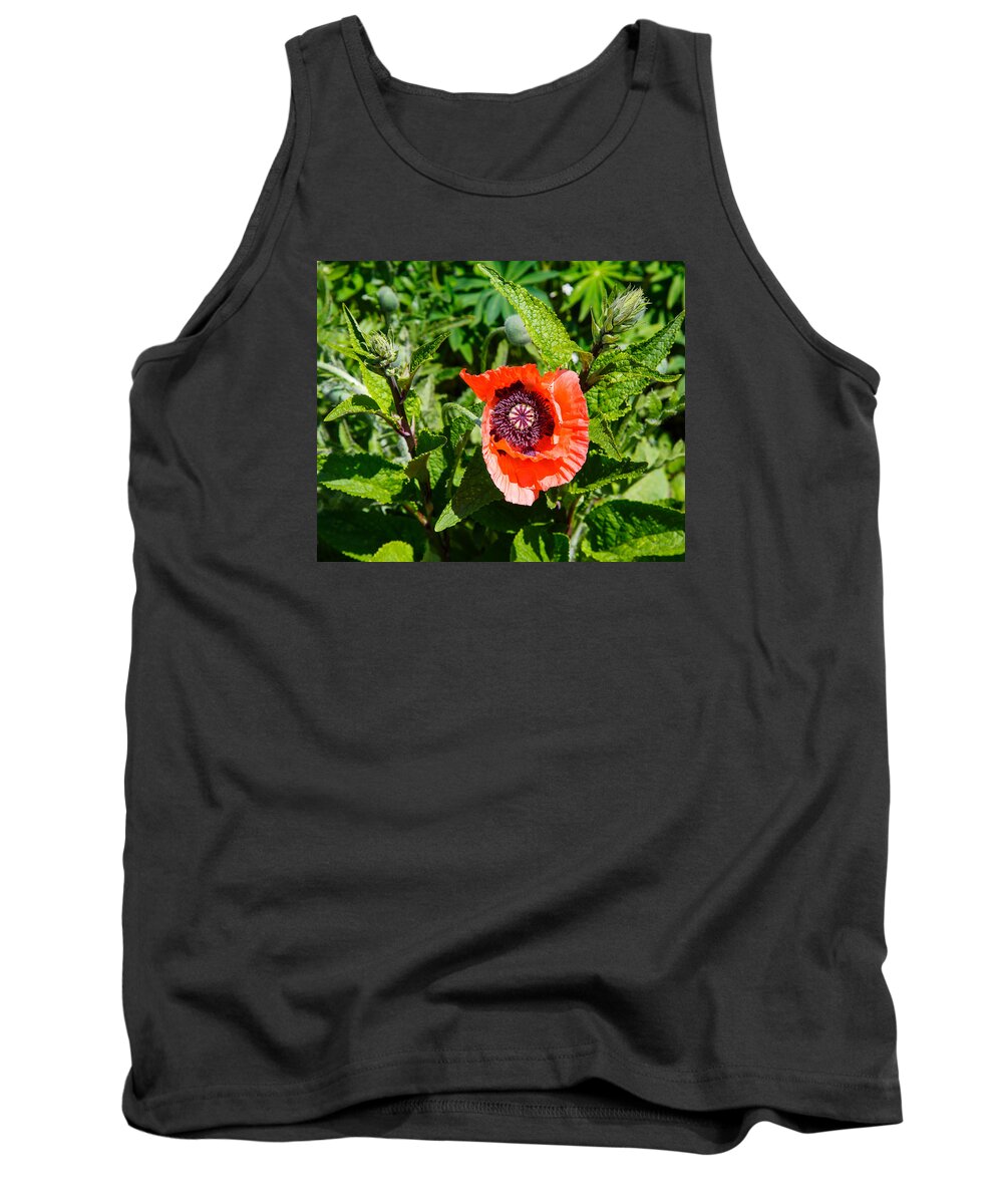 Nature Tank Top featuring the photograph Caught My Eye by Allan Levin