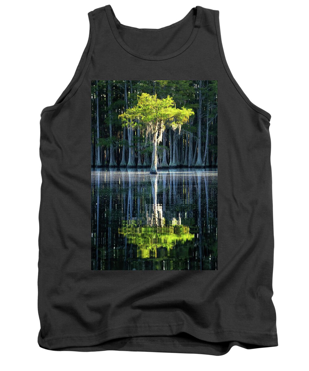 Abstract Tank Top featuring the photograph Lonely Cypress - 2 by Alex Mironyuk