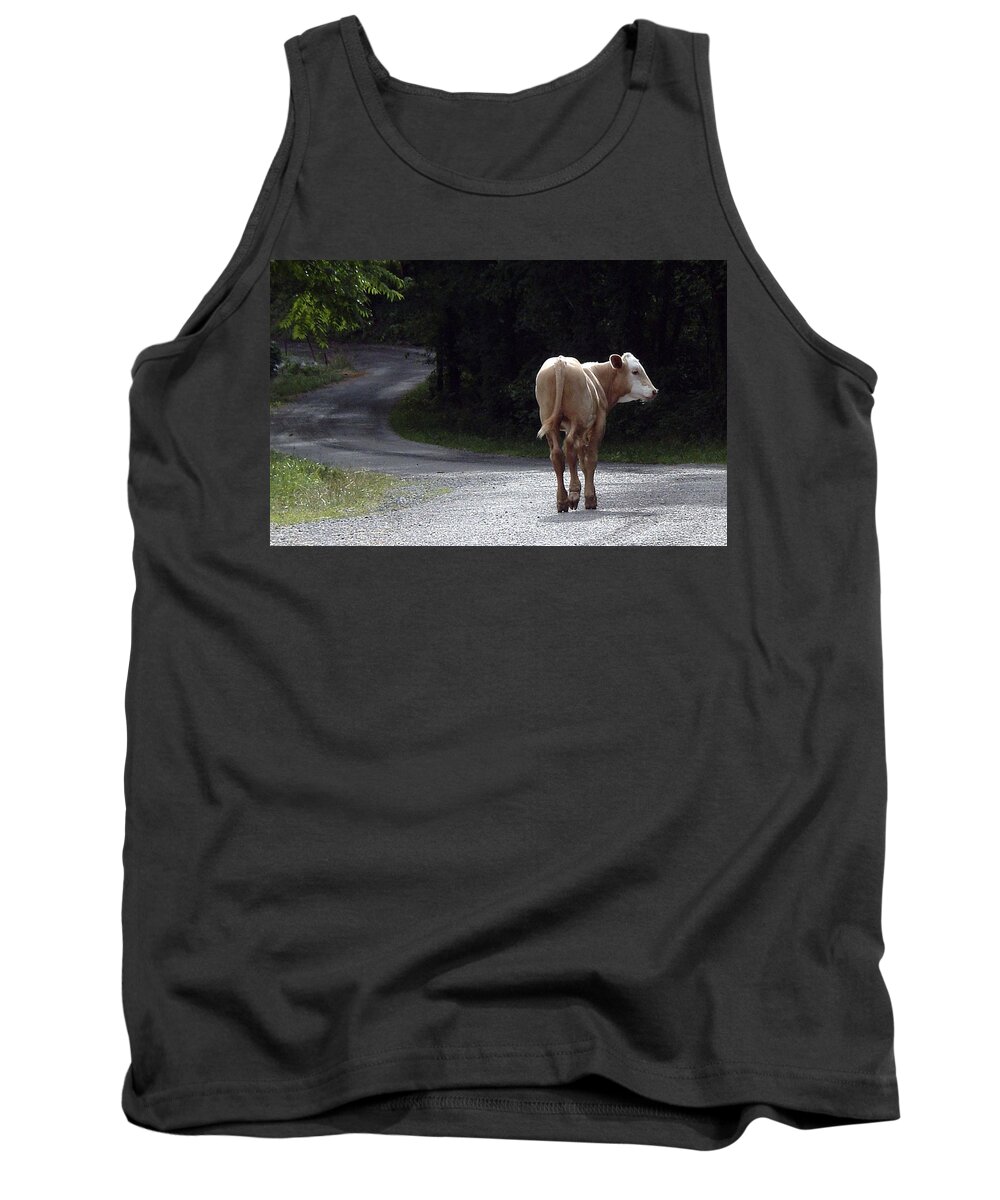 Cow Tank Top featuring the photograph Long and Winding Road by Belinda Landtroop