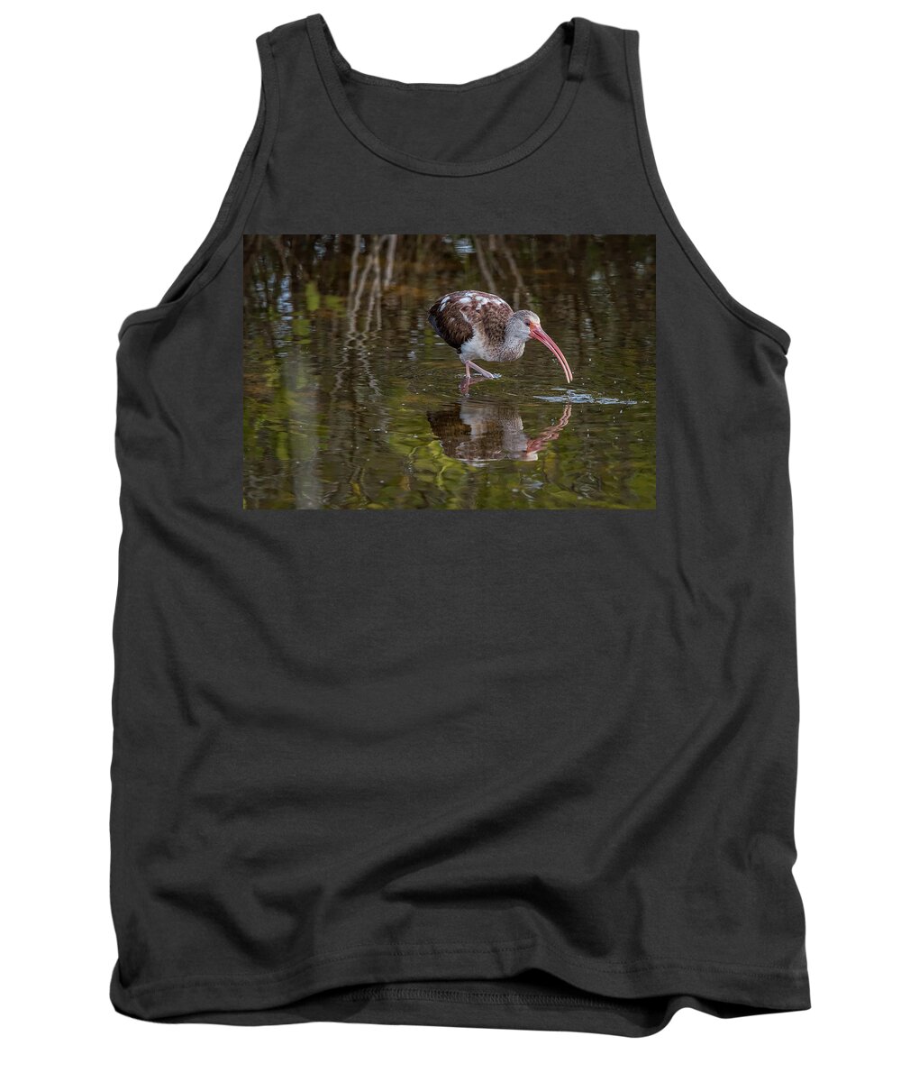 Birds Tank Top featuring the photograph Long-billed Curlew - Male by Norman Peay