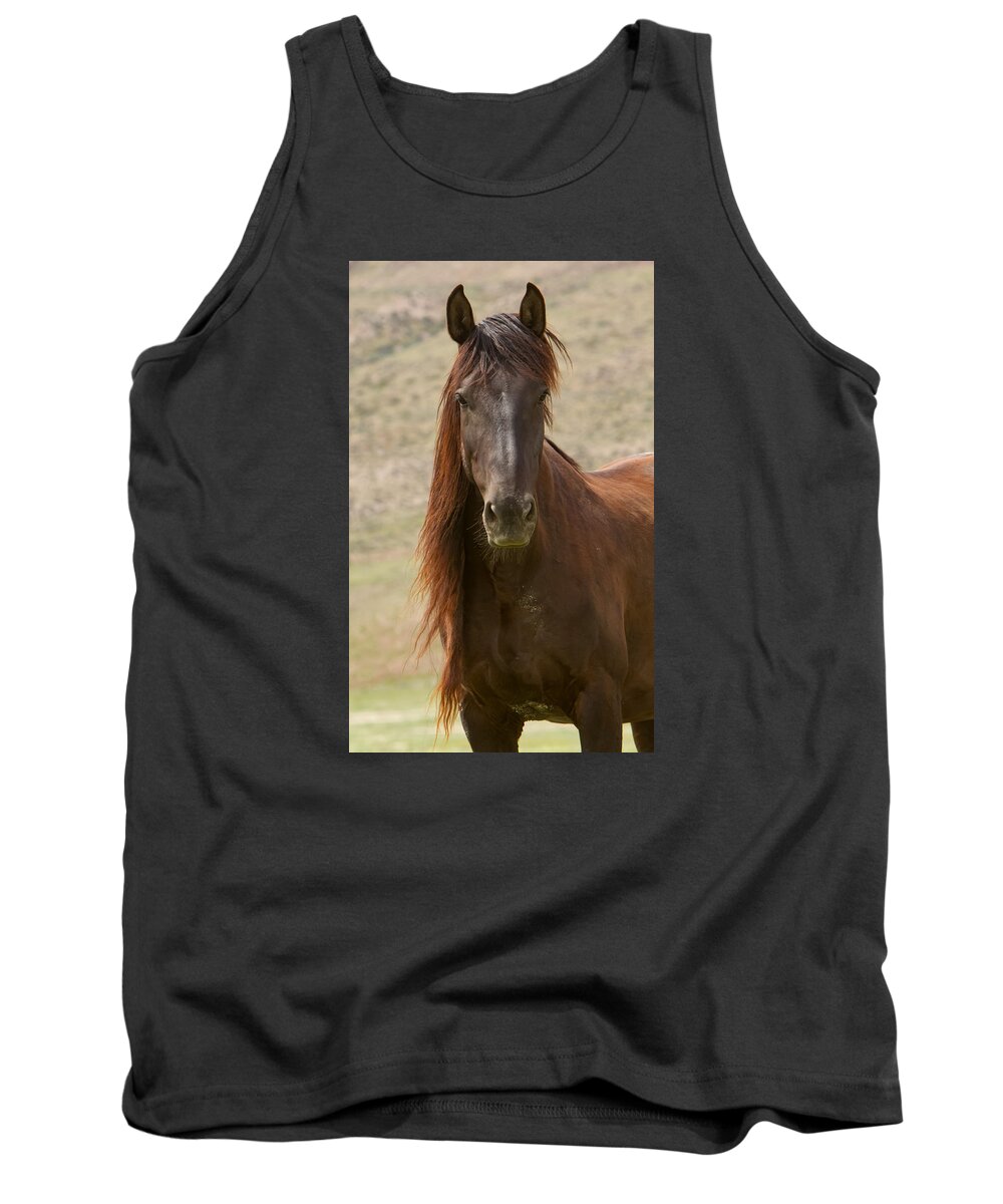 Wild Horse Tank Top featuring the photograph Long maned Beauty by Kent Keller