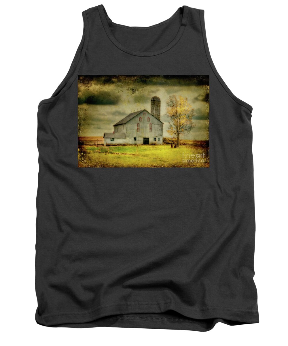 Barns Tank Top featuring the photograph Looking For Dorothy by Lois Bryan