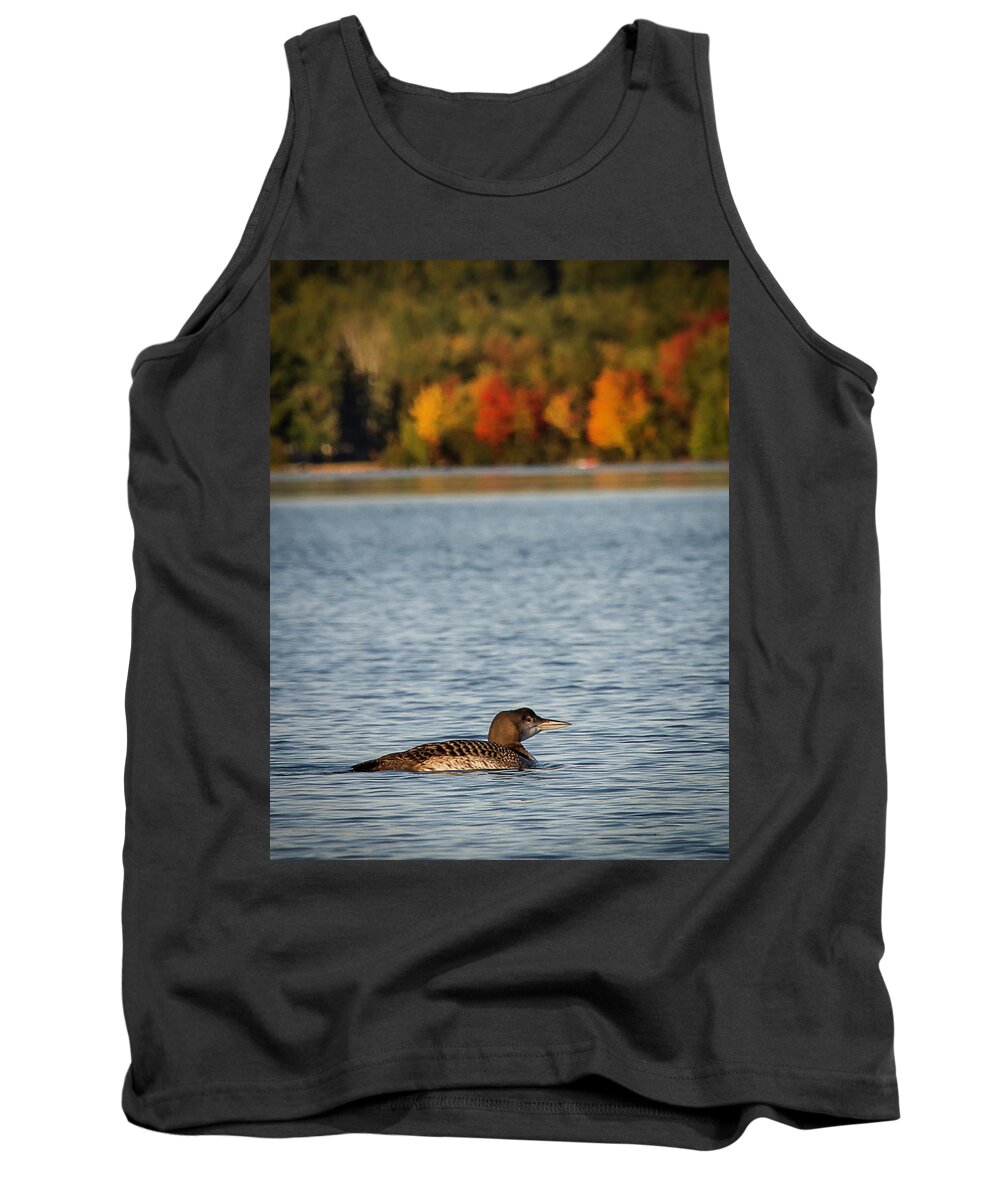 Lake Tank Top featuring the photograph Loon Chick by Benjamin Dahl