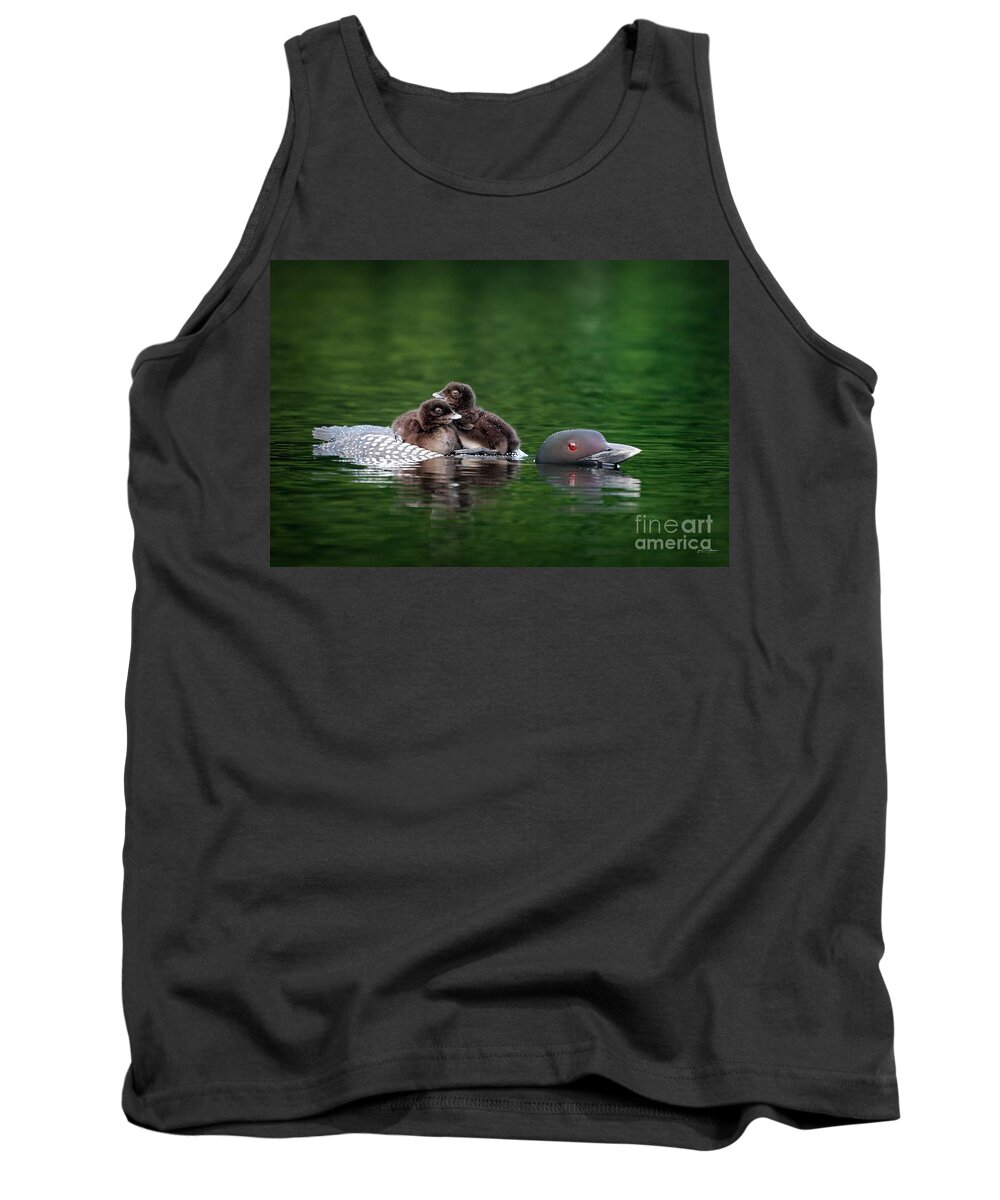 Loon Tank Top featuring the photograph Loon with Chicks by Jan Mulherin