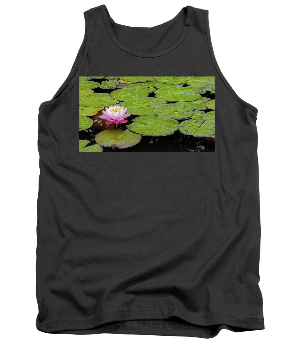 Water Lily Tank Top featuring the photograph Lotus Blossom by Holly Ross