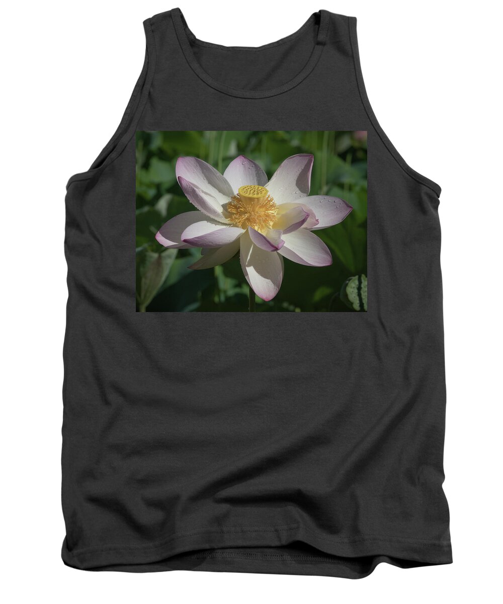 Lotus Tank Top featuring the photograph Lotus Flower in Bloom by Jack Nevitt