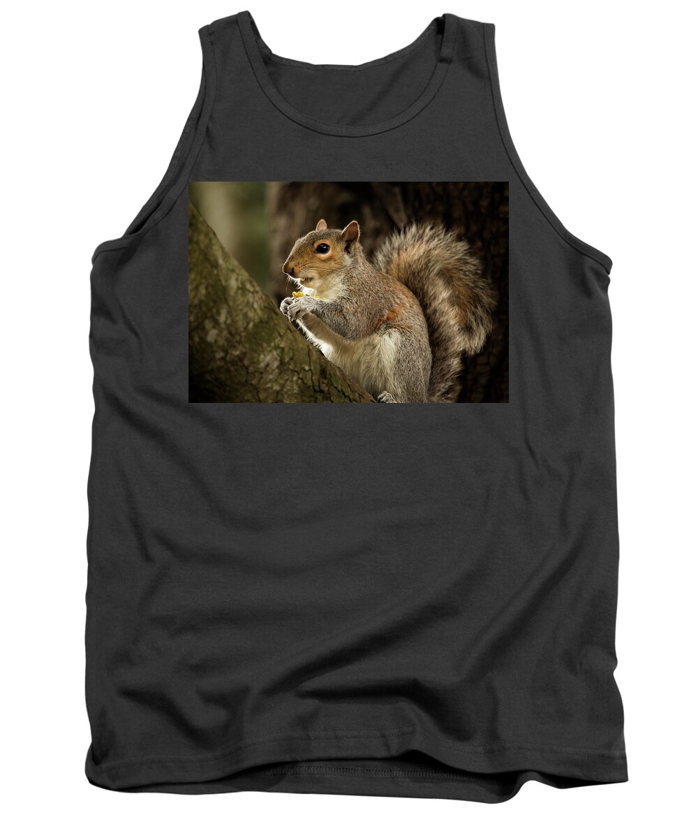 Animal Tank Top featuring the photograph Lunch by Bob Cournoyer