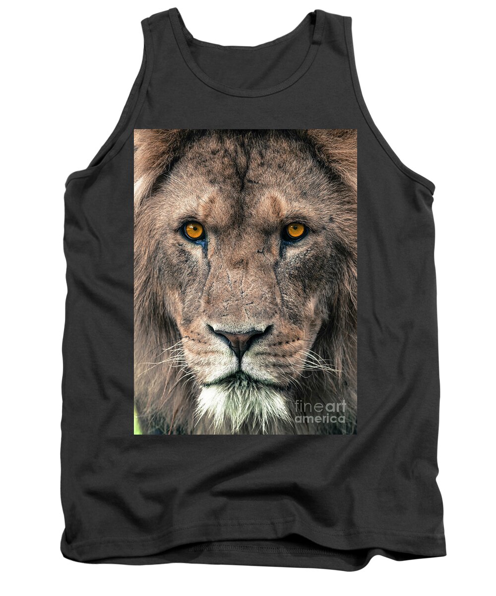 African Tank Top featuring the photograph Male African Lion by Andrew Michael