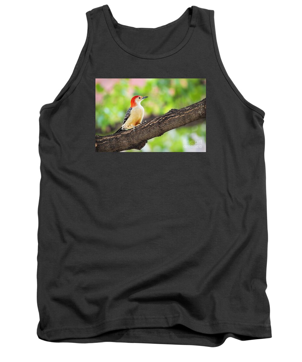Nature Tank Top featuring the photograph Male Red-Bellied Woodpecker by Sharon McConnell