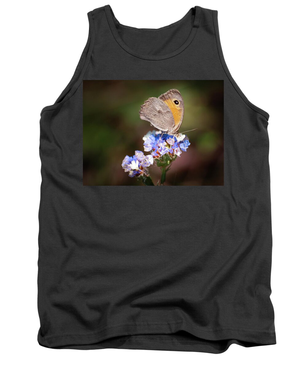 Butterfly Tank Top featuring the photograph Maniola telmessia by Meir Ezrachi