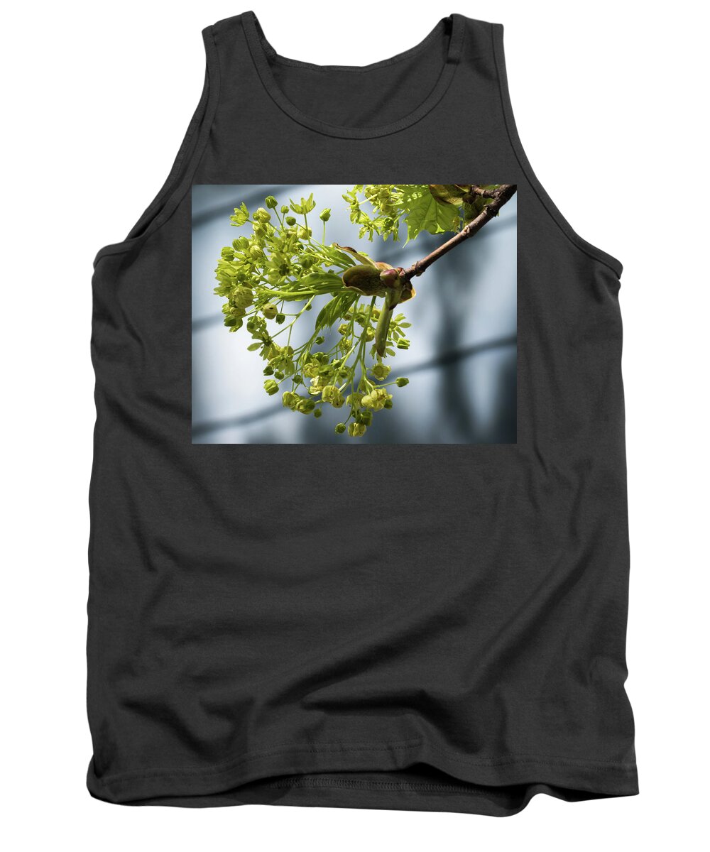 Maple Tree Flowers Tank Top featuring the photograph Maple Tree Flowers - by Julie Weber