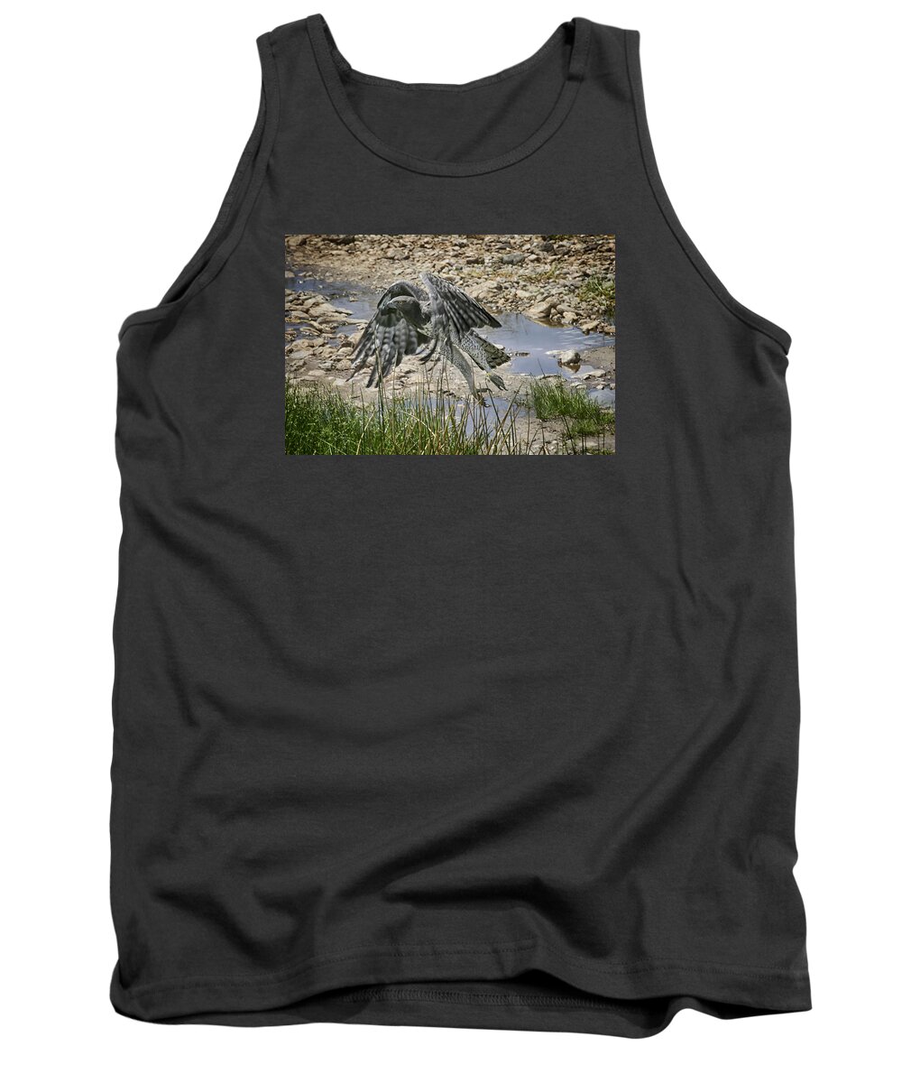 Gary Hall Tank Top featuring the photograph Martial Eagle by Gary Hall
