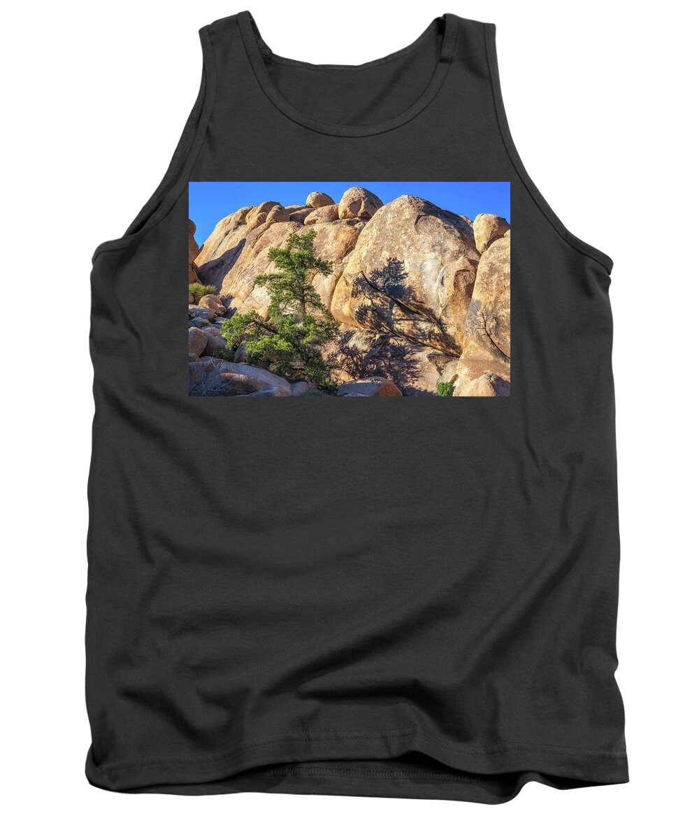 Joshua Tree Tank Top featuring the photograph Afternoon Shadows At Joshua Tree National Park by Joseph S Giacalone