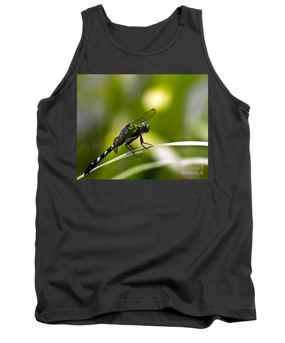 Dragonfly Tank Top featuring the photograph Mean Green by Ken Frischkorn