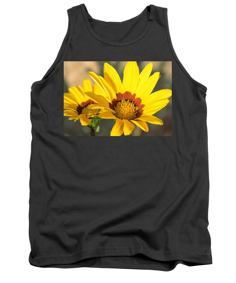 Nature Tank Top featuring the photograph Mellow Yellow by Sheila Brown