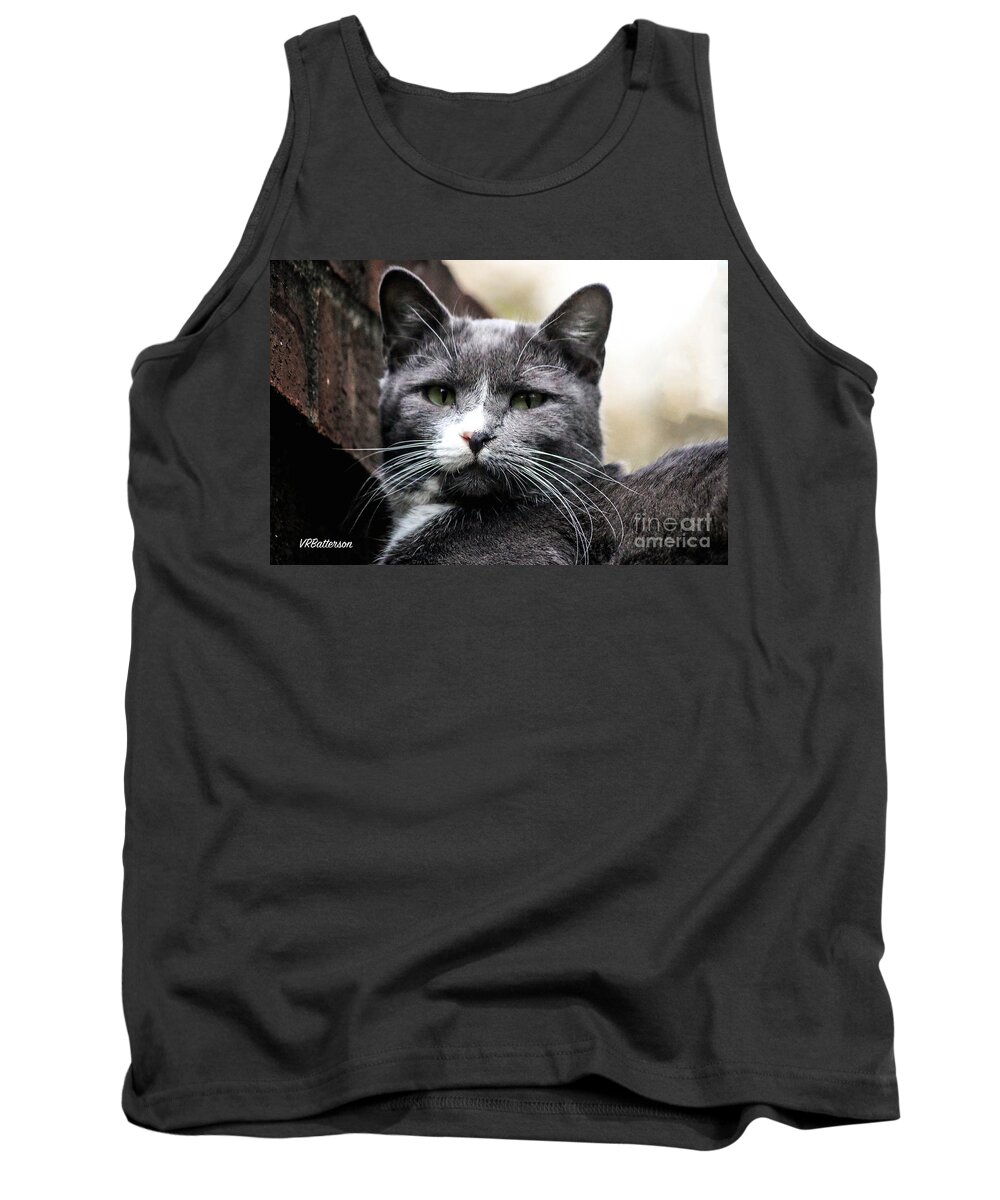Cats Tank Top featuring the photograph Mister Mistoffelees by Veronica Batterson