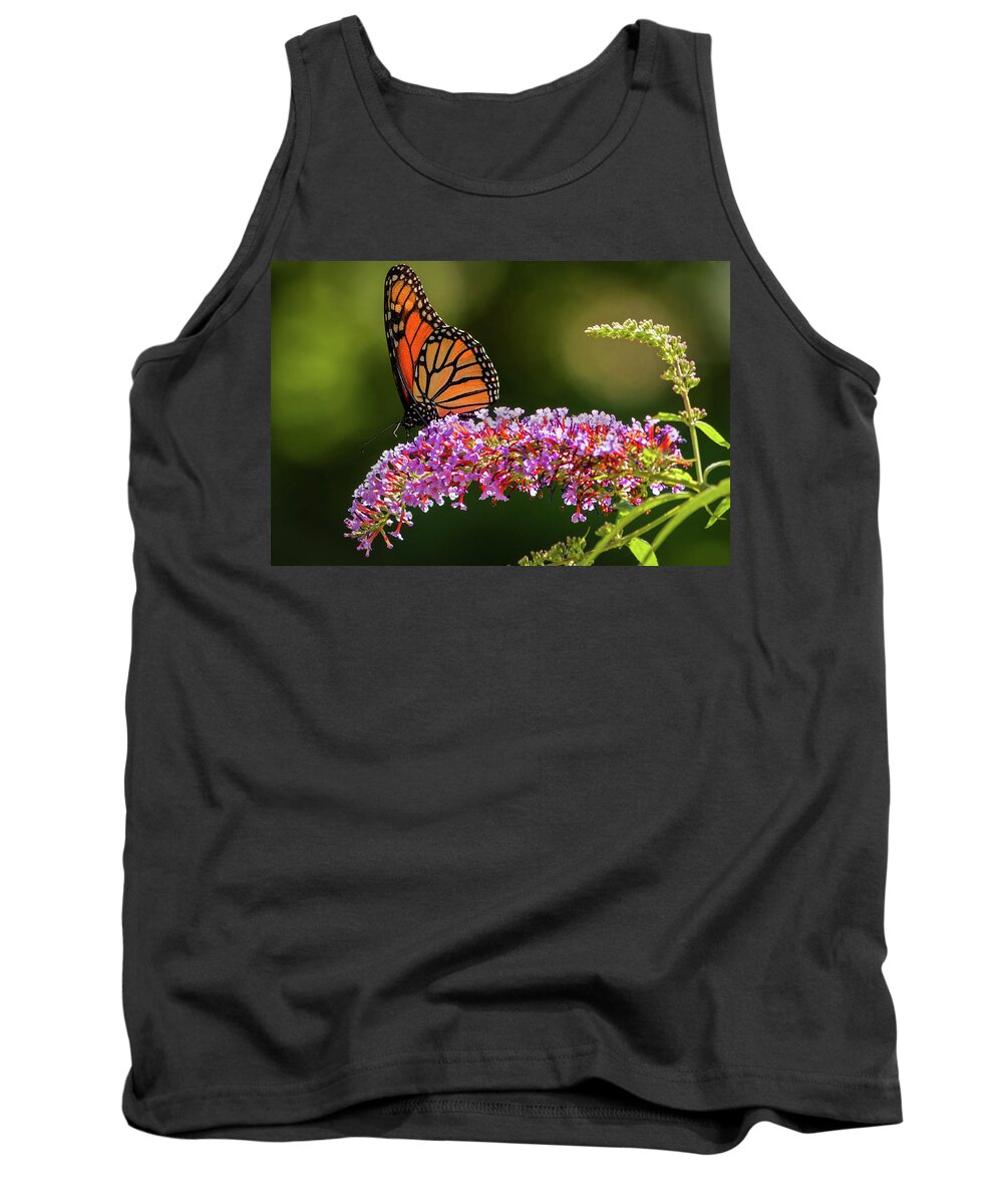 Butterfly Tank Top featuring the photograph Monarch by Craig Szymanski