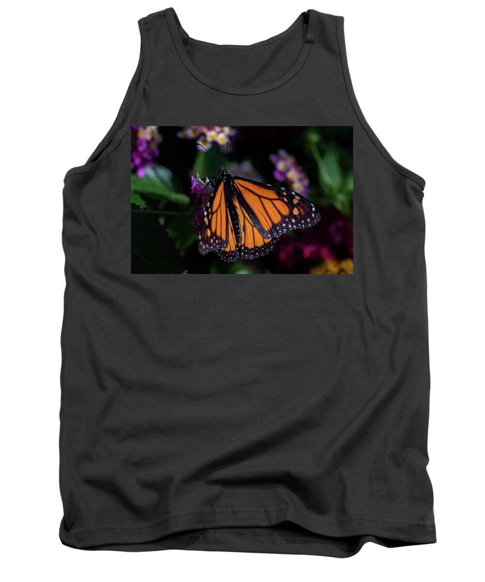 Jay Stockhaus Tank Top featuring the photograph Monarch by Jay Stockhaus
