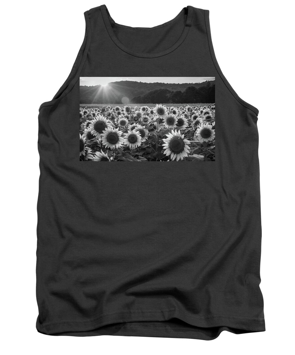 Donaldson Farms Tank Top featuring the photograph Monochrome Sunflowers by Kristopher Schoenleber