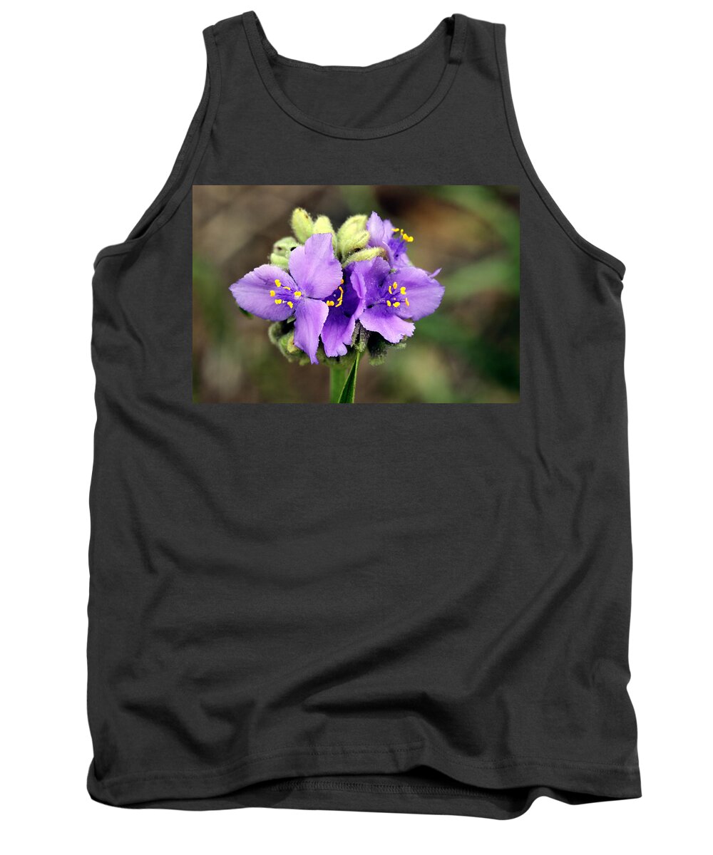 Blue Tank Top featuring the photograph Morning beauty by James Smullins