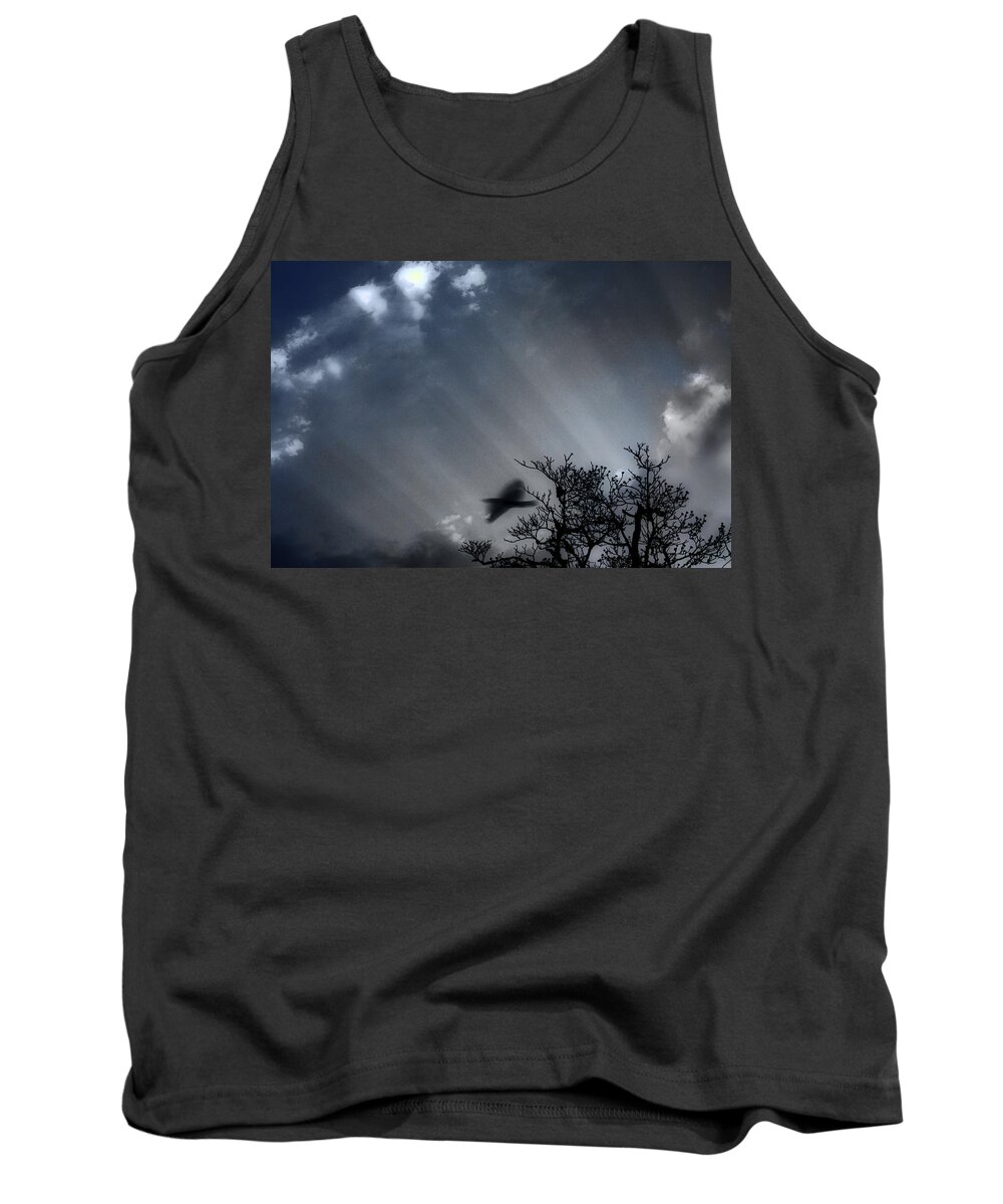 Morning Tank Top featuring the photograph Morning by Gray Artus