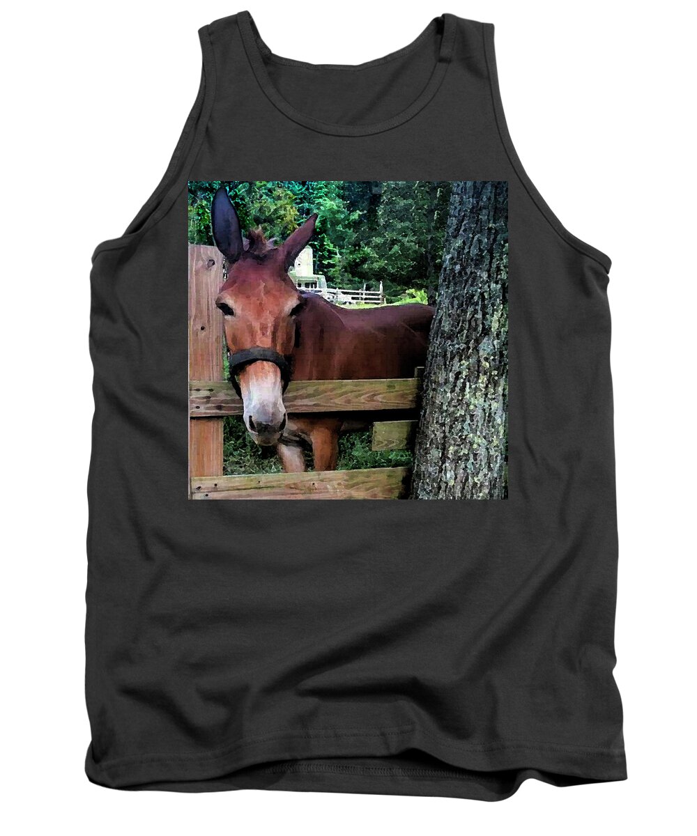 Mule Tank Top featuring the photograph Moses the Mule Closeup by Jennifer Stackpole
