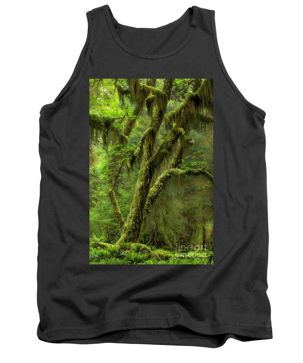  Oregon Tank Top featuring the photograph Mossy Maple by Timothy Hacker