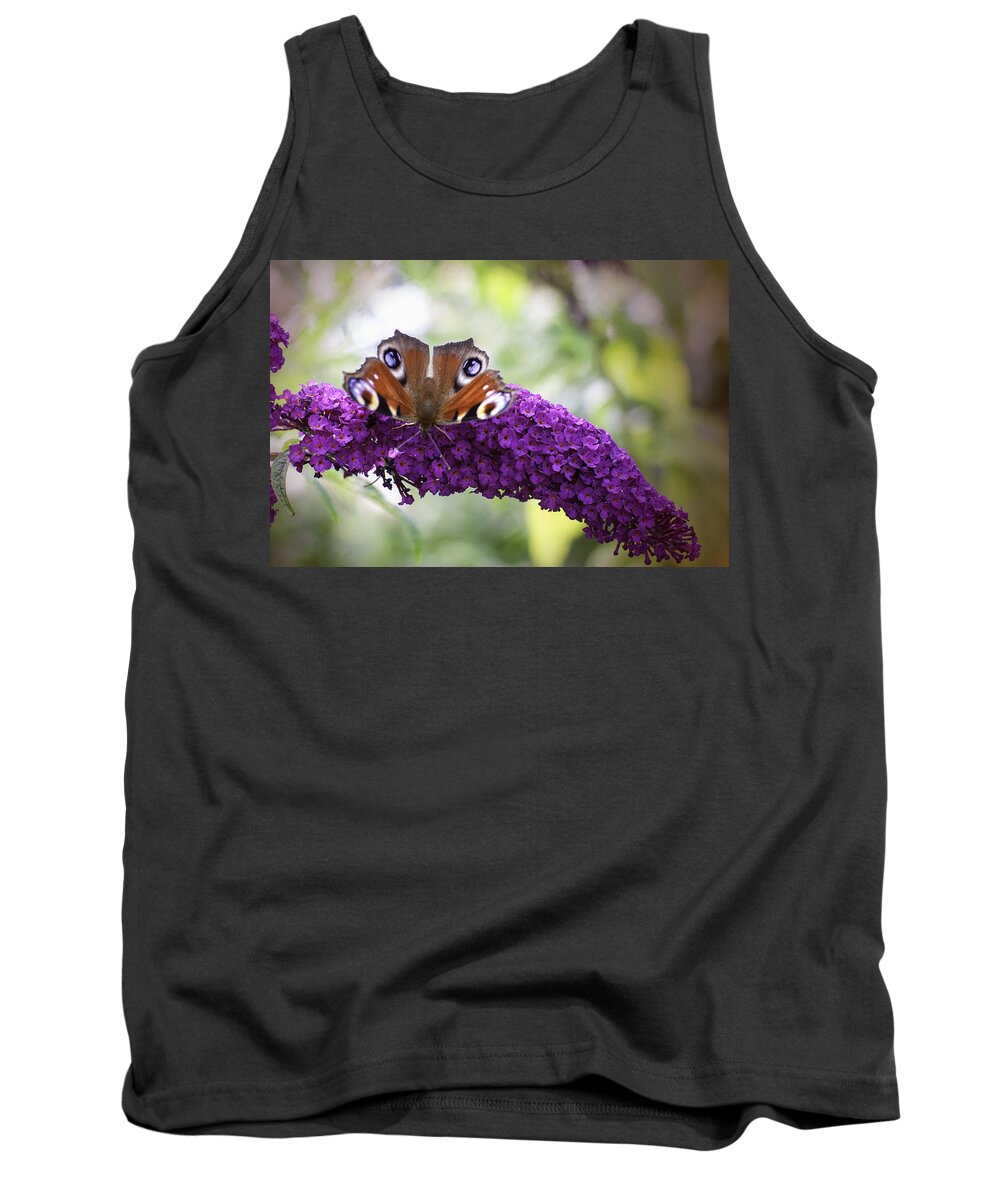 Month On Purple Flower Tank Top featuring the photograph Moth on Purple Flower by Phyllis Taylor