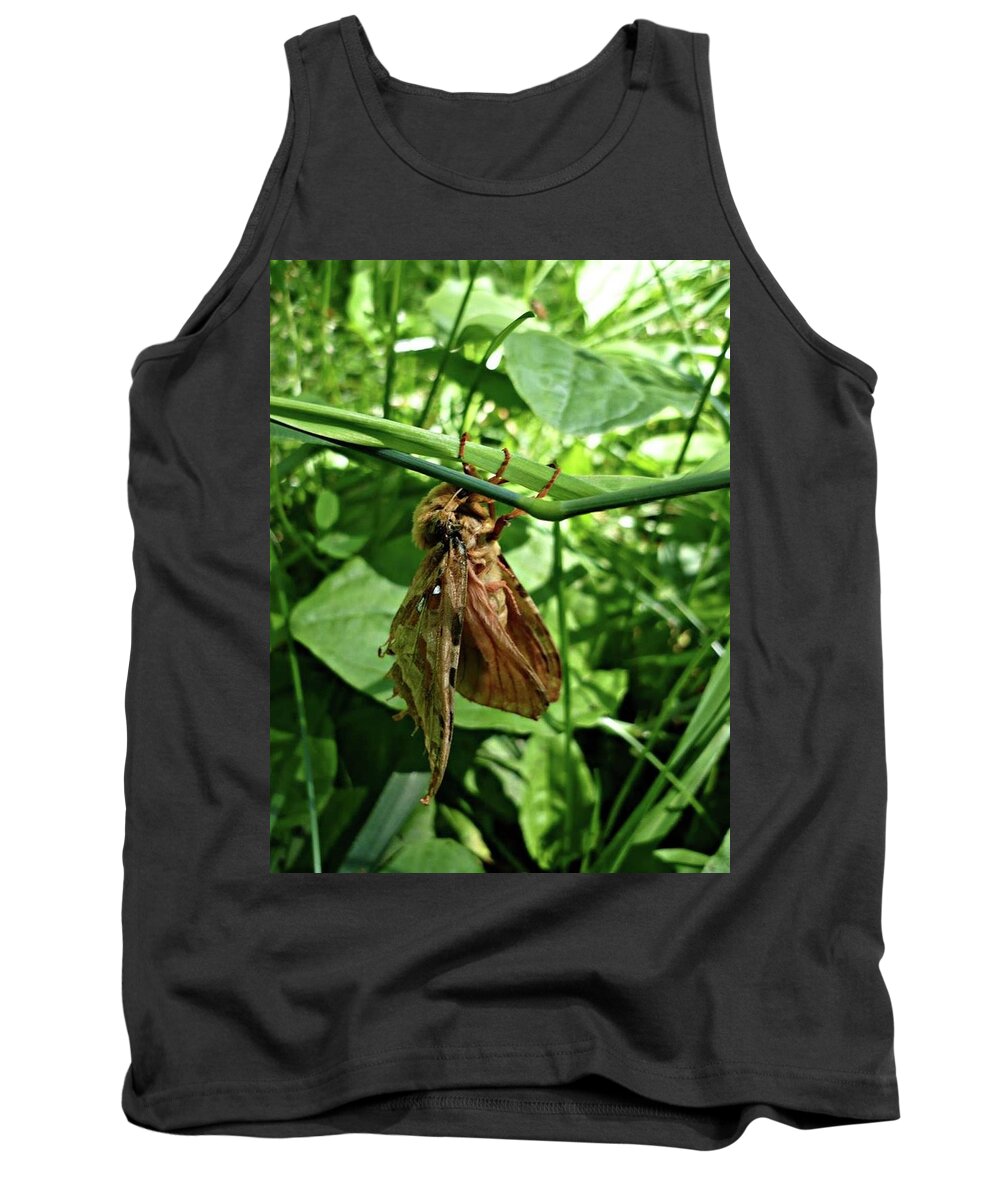 Nature Tank Top featuring the photograph Moth by 'REA' Gallery