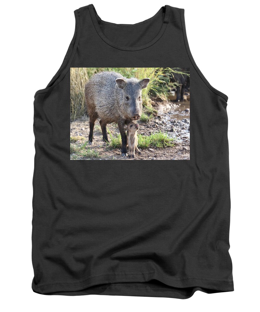 Arizona Tank Top featuring the photograph Mother and Baby Javelina by Steve Wolfe