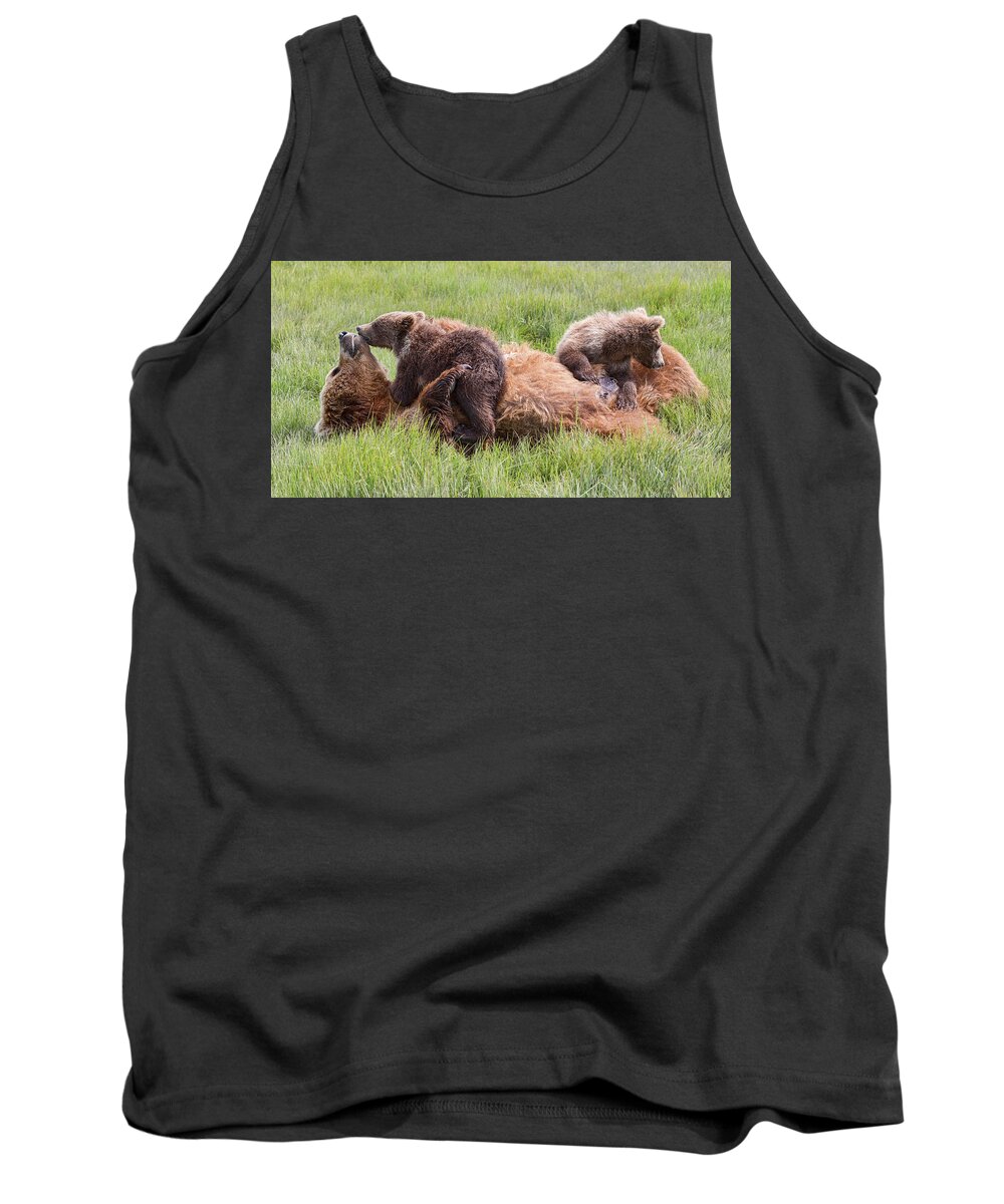 Grizzly Bears Tank Top featuring the photograph Mother Grizzly Suckling Twin Cubs by Mark Harrington