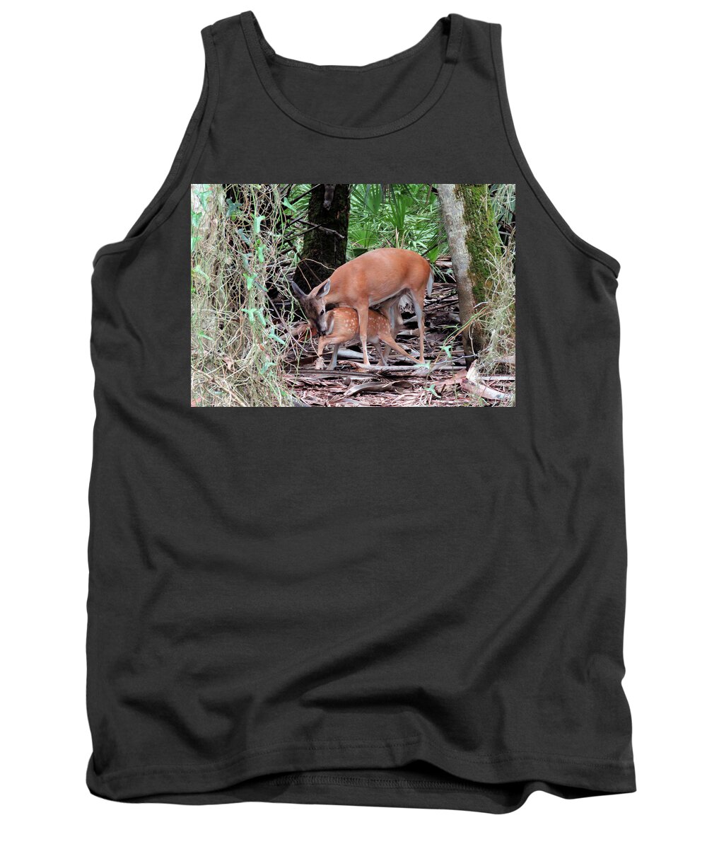 Doe Tank Top featuring the photograph Mother's Care by Rosalie Scanlon