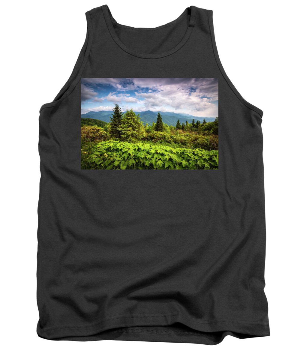 Mount Mitchell Tank Top featuring the photograph Mount Mitchell Asheville NC Blue Ridge Parkway Mountains Landscape by Dave Allen